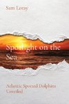 Spotlight on the Sea