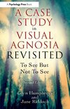 A Case Study in Visual Agnosia Revisited