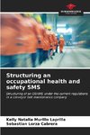 Structuring an occupational health and safety SMS