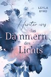 Hinter uns das Dämmern des Lichts