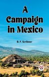 A campaign in Mexico