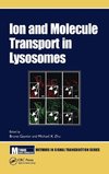 Ion and Molecule Transport in Lysosomes