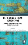 Rethinking African Agriculture