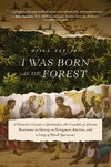 I Was Born in the Forest