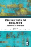 Screen Culture in the Global South