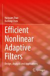 Efficient Nonlinear Adaptive Filters