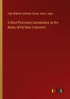 A Short Protestant Commentary on the Books of the New Testament