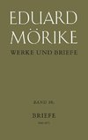 Werke und Briefe 1868-1875