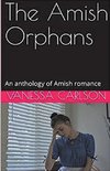 The Amish Orphans