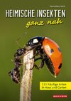 Heimische Insekten ganz nah