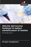 Attività dell'enzima fosfatasi di batteri solubilizzatori di fosfato