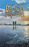 Dr Rudyard Turnstone and the Beach of Promises