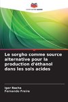 Le sorgho comme source alternative pour la production d'éthanol dans les sols acides