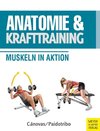 Anatomie & Krafttraining