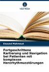 Fortgeschrittene Kartierung und Navigation bei Patienten mit komplexen Herzrhythmusstörungen