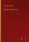 The Nature of Positive Law