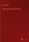 A Short Synopsis of God in Nature