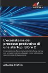 L'ecosistema del processo produttivo di una startup. Libro 2