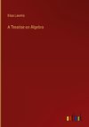 A Treatise on Algebra