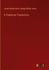 A Treatise on Trigonometry