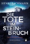 Die Tote im Steinbruch