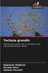 Tectona grandis