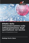 Effetto della crioconservazione sulla sottopopolazione degli spermatozoi nel bovino