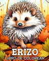 Erizo Libro de Colorear