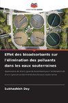 Effet des bioadsorbants sur l'élimination des polluants dans les eaux souterraines