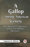 A Gallop Among American Scenery Or, Sketches Of American Scenes And Military Adventure