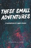 These Small Adventures