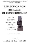 Reflections on the Dawn of Consciousness