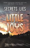 Secrets, Lies and Little Joys