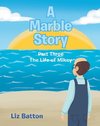 A Marble Story