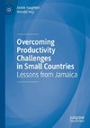 Overcoming Productivity Challenges in Small Countries