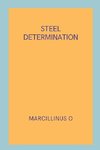 Steel Determination