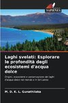 Laghi svelati: Esplorare le profondità degli ecosistemi d'acqua dolce