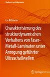 Charakterisierung des strukturdynamischen Verhaltens von Faser-Metall-Laminaten unter Anregung geführter Ultraschallwellen