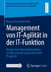 Management von IT-Agilität in der IT-Funktion