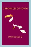 Chronicles of Youth