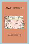 Spark of Youth