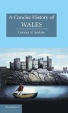 A Concise History of Wales