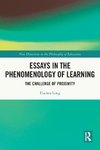 Essays in the Phenomenology of Learning