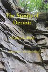 The Straits of Detroit