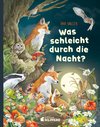 Was schleicht durch die Nacht?