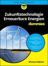 Zukunftstechnologie Erneuerbare Energien für Dummies