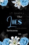 The lies between us