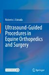 Ultrasound-Guided Procedures in Equine Orthopedics and Surgery