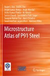 Microstructure Atlas of P91 Steel