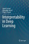 Interpretability in Deep Learning